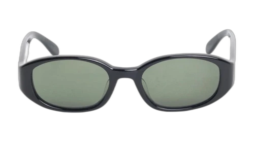 Stussy Roman Sunglasses Black/Dark Green Lens