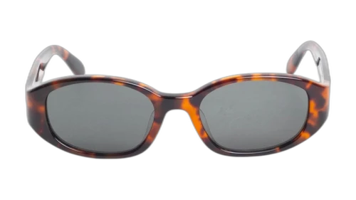 Stussy Roman Sunglasses Brown Tortoise/Black Lens