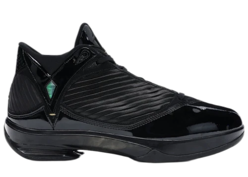 Jordan 2009 S23