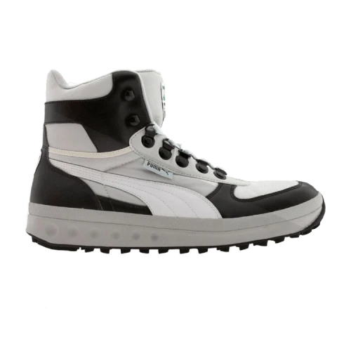 Puma Explorer