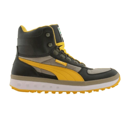 Puma Explorer