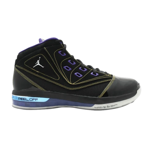 Air Jordan 16.5 Team 'Black Metallic'