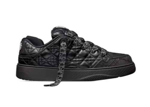 Dior B9S Skater ERL Black Quilted Cannage Calfskin