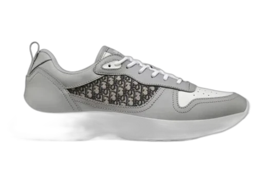 Dior B25 Dior Oblique Grey