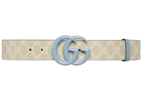Gucci GG Marmont Wide Belt Light Blue/Beige