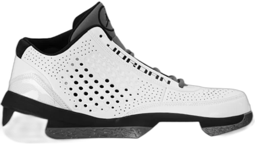 Jordan 2010 Team White Black Light Graphite