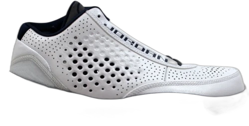 Jordan 2010 Team White Midnight Navy Light Graphite