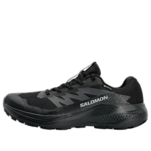 SALOMON Alphaglide GTX 'Black'