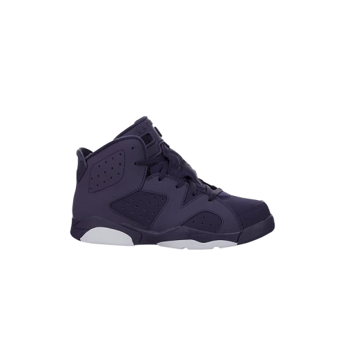 Air Jordan 6 Retro Purple Dynasty (PS)