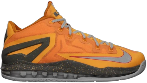 Nike LeBron 11 Low Floridian