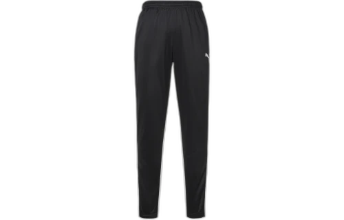 PUMA Football Clothing Teamwear Pants 'Black'