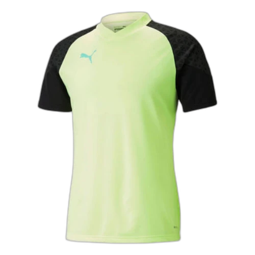 PUMA Individualcup Training Jersey 'Green Black'