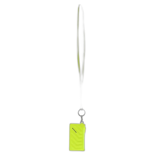 Balenciaga Car Card Case on Keyring 'Bright Green'