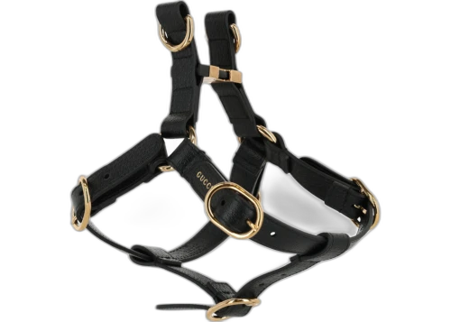 Gucci Small/Medium Pet Harness Black