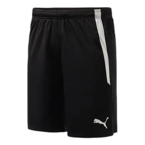 PUMA Team Liga Shorts 'Black'