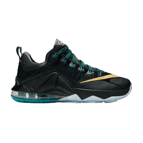 Nike LeBron 12 Low SVSM