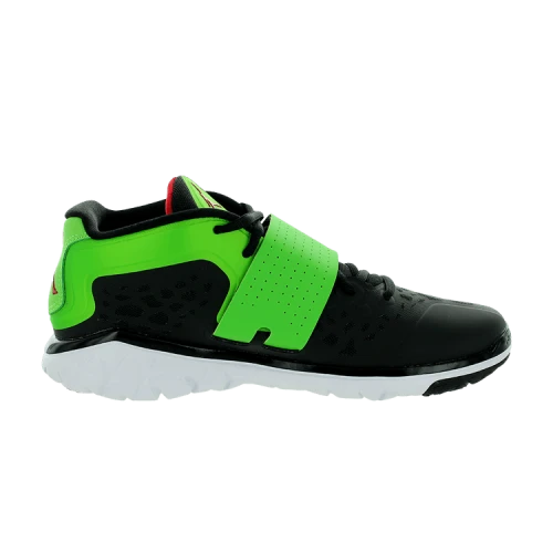 Air Jordan Flight Flex Trainer 2