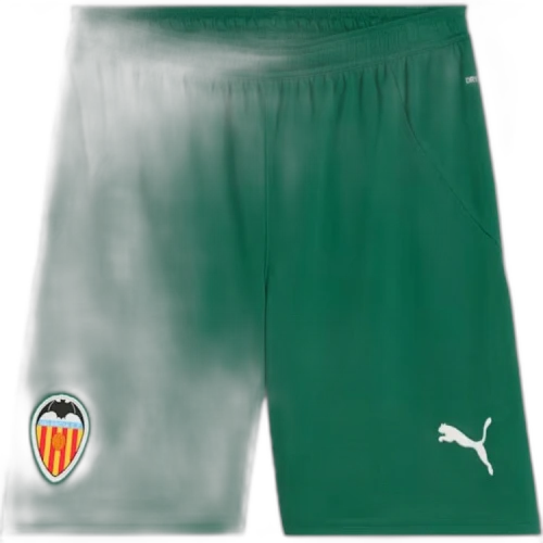 PUMA Valencia CFDRYCELL SS24 Valencia CF 24/25 Shorts Men Soccer Bottom Men's Green