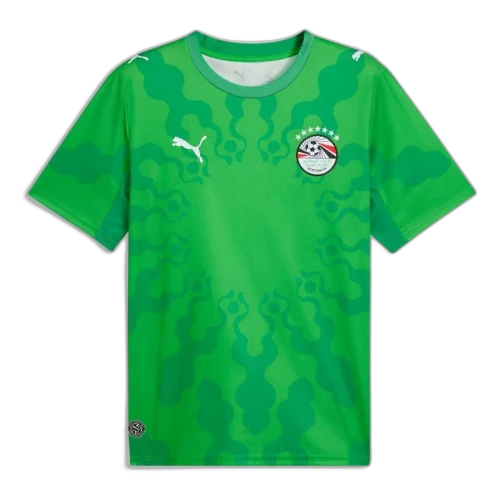 PUMA x EGYPT x SALEHE BEMBURY Goalkeeper Jersey 'PUMA Green Fast Green'