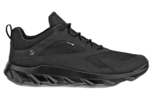 Ecco MX Gore-Tex Black