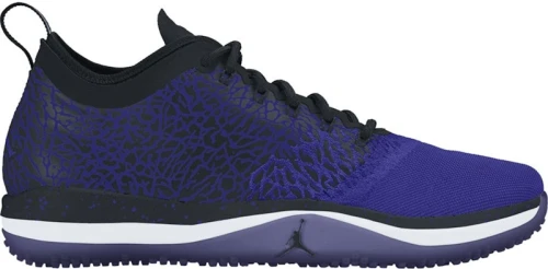 Jordan Trainer 1 Low Concord
