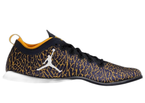 Jordan Trainer 1 Low Michigan