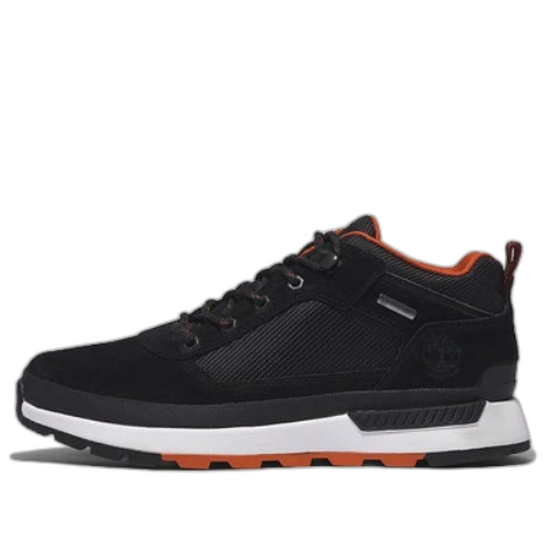 Timberland Field Trekker Waterproof Hiking Boot 'Black'