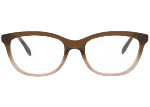 Alexander McQueen Square-Frame Acetate Optical Frames Brown Brown Transparent (AM0161O-30006092-003)