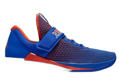Jordan Trainer 3 Florida Gators