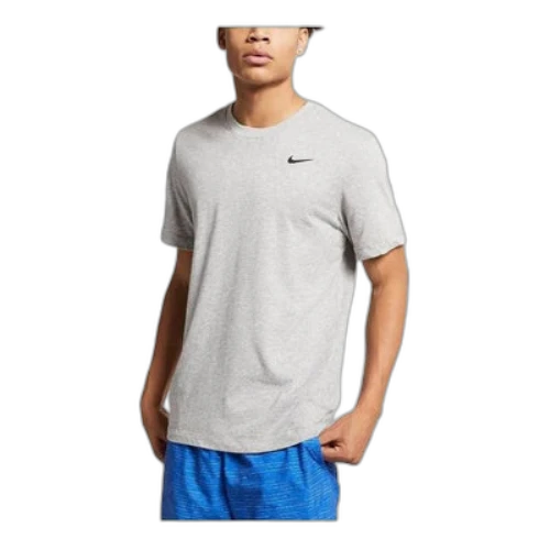 Nike Dri-FIT Swoosh Logo T-shirt 'Grey'