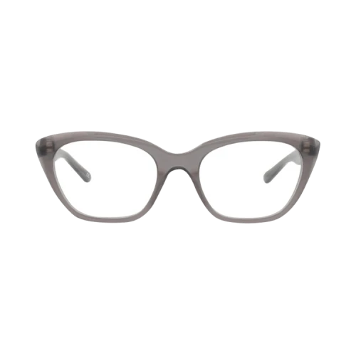 Balenciaga Cat Eye-Frame Acetate Optical Frames Grey Grey Transparent (BB0219O-30011980-003)