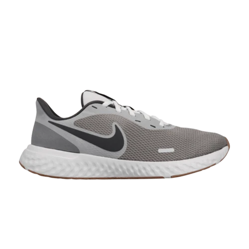 Nike Revolution 5 Smoke Grey