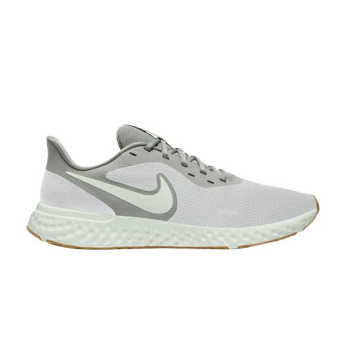 Nike Revolution 5 Platinum Tint Grey Fog