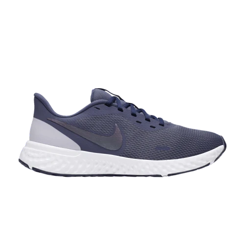 Nike Revolution 5 'Sanded Purple' (Women's)