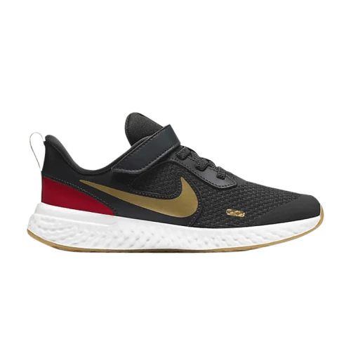 (PS) Nike Revolution 5 'Dark Smoke Grey Gold'