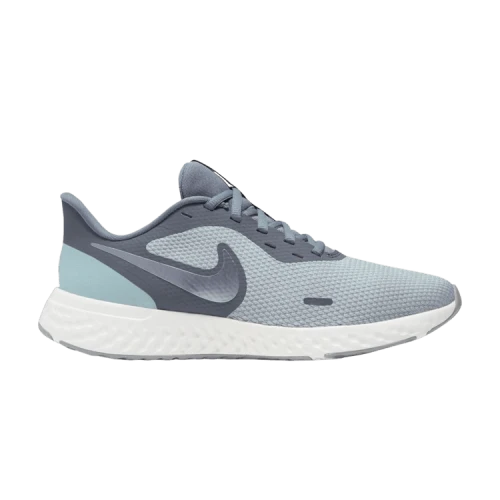 Nike Revolution 5 Wide 'Wolf Grey' (Women's)