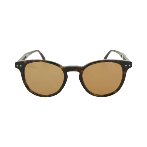 Bottega Veneta Round-Frame Acetate Sunglasses Shiny Dark Havana (BV0128S-30001665-002)