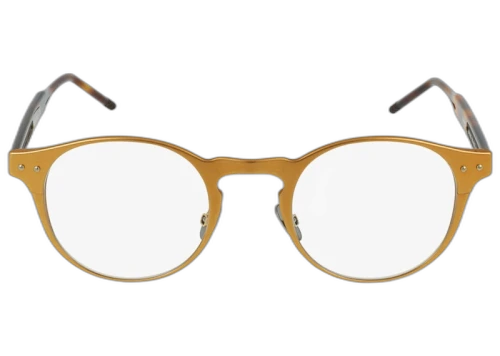 Bottega Veneta Round-Frame Aluminium Sunglasses Bronze/Havana/Transparent (BV0180O-30002475-003)