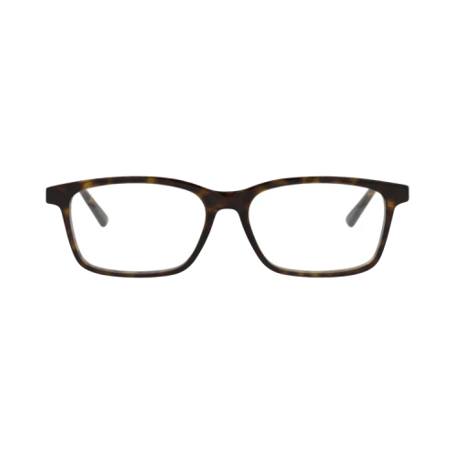 Bottega Veneta Square-Frame Acetate Optical Frames Havana Havana Transparent (BV1029OA-30008499-006)