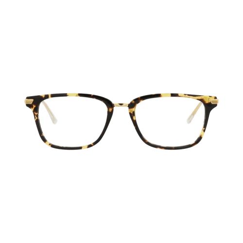Bottega Veneta Square-Frame Acetate Optical Frames 'Havana Gold Transparent'