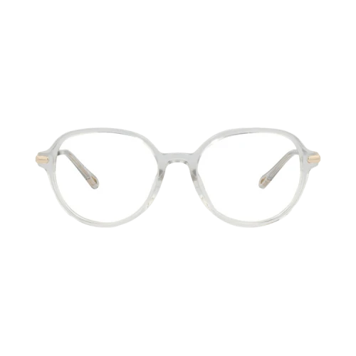 Chloé Round-Frame Recycled Acetate Optical Frames 'Grey Gold Transparent'