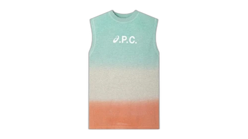 ASICS x APC Valey Dress Multicolor