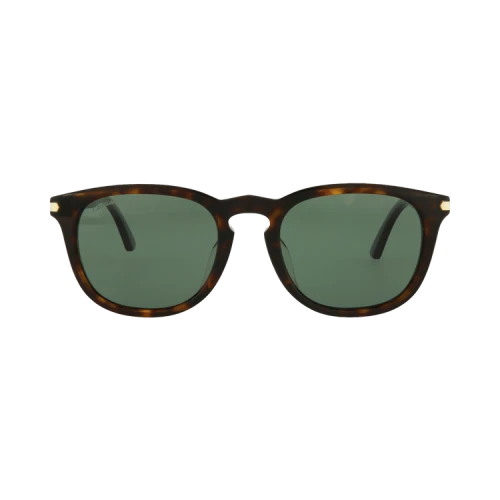 Cartier Square Sunglasses Havana/Havana/Green (CT0011SA-30002167-002)