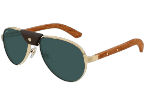 Cartier Santos de Cartier Sunglasses Gold/Brown/Green (CT0495S-002-FR)
