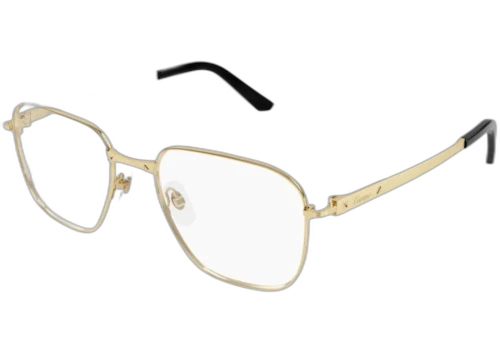 Cartier Santos de Cartier Sunglasses Gold (CT0553o-005-FR)