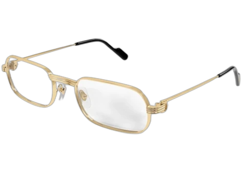 Cartier Premiere de Cartier Sunglasses Gold (CT0556o-001-FR)