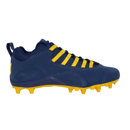 Air Jordan 10 Alpha Low 'Michigan Wolverines' PE