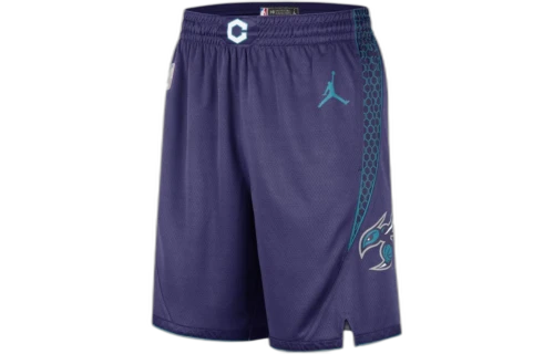 Jordan Charlotte Hornets Statement Edition Shorts Purple/White/Teal