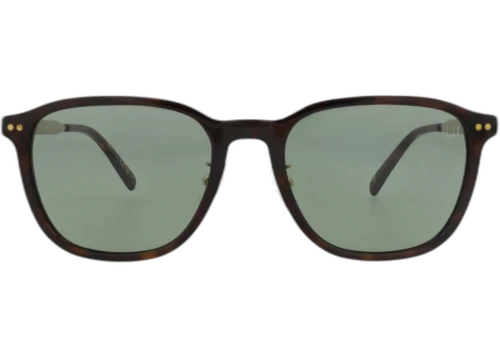 Dunhill Round-Frame Recycled Acetate Sunglasses Havana Gold Green (DU0070SA-30014057-003)