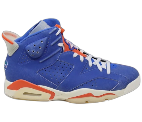 Jordan 6 Retro Florida Gators PE